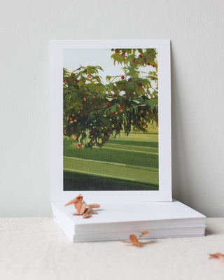'Big Heart Little Stove' inspired notecards - 'moments in Maine'