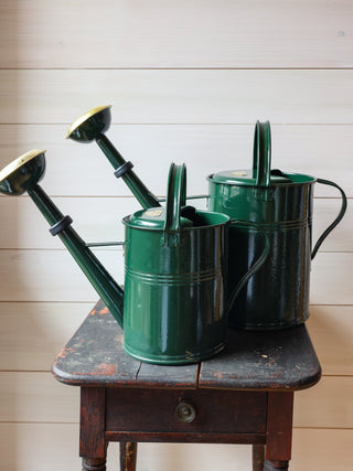 Galvanized Dark Green Watering Can - in 2 sizes