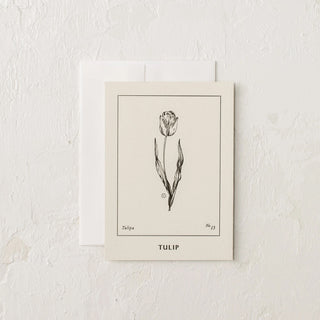 Tulip Letterpress Postcard