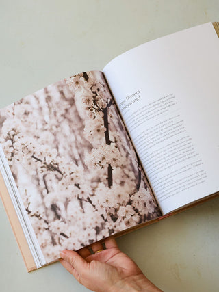 'Wild Sweetness : Recipes Inspired by Nature' by Thalia Ho