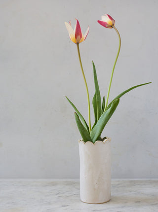 Scallop Vase in 2 sizes
