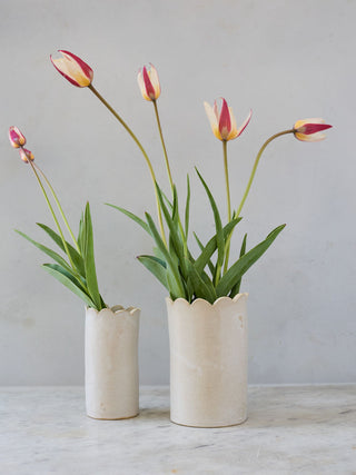 Scallop Vase in 2 sizes