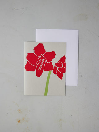 'Amaryllis' -Silkscreen Card