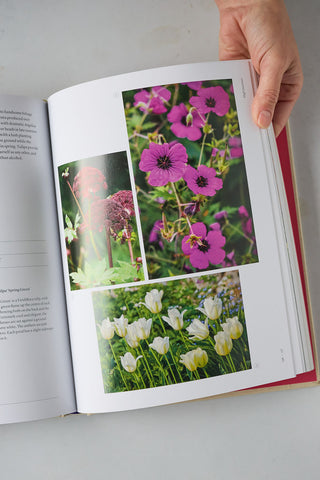 The Seasonal Gardener: Creative Planting Combinations