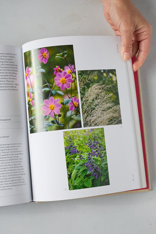 The Seasonal Gardener: Creative Planting Combinations