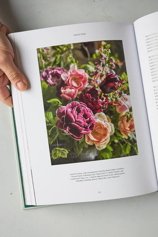 Tulip Garden: Growing and Collecting Rare Species