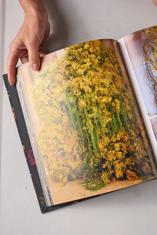 Flowers : Emily Thompson