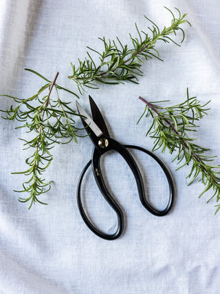 Forged Japanese Garden Scissors