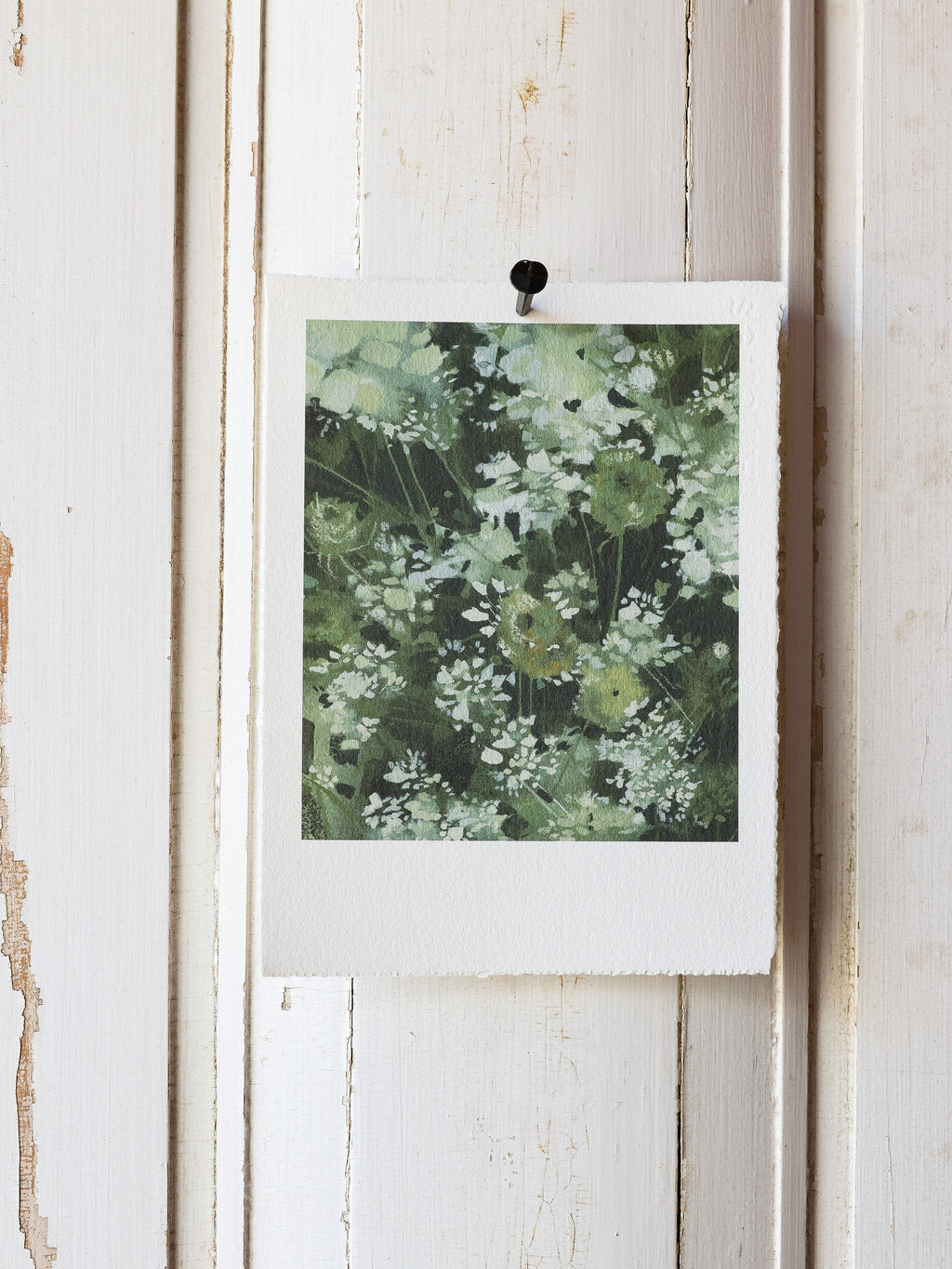 Queen Anne's Lace "Watercolor"