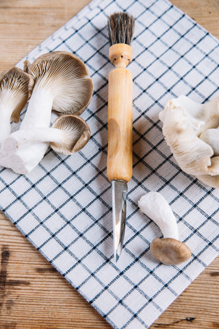 Mushroom Knife/Brush - in 2 options