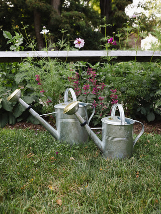 Galvanized Zinc Watering Can - in 2 sizes