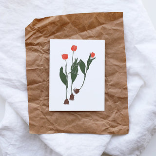 'Tulips' letterpress card - single or set of 6